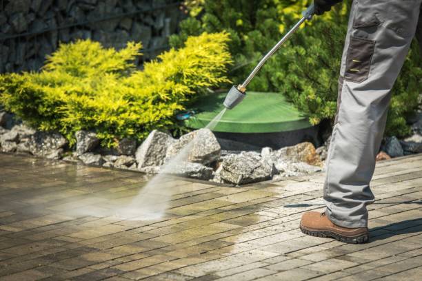 Animal Enclosure Cleaning in Milford, PA